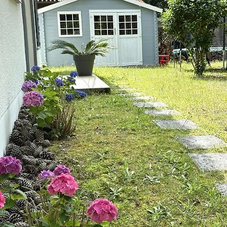 Chez Celine Sous Les Pins - Plages Et Piscine, Ocean Et Lac, Velos Et Yoga!