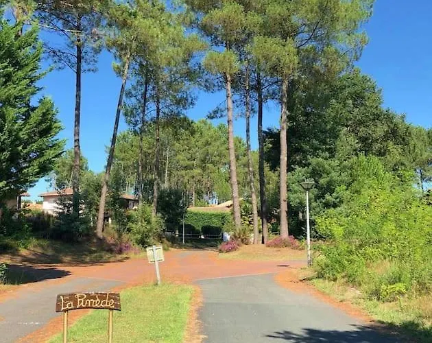 Chez Celine Sous Les Pins, De 1 A 8 Personnes, Piscine, Ocean, Lac, Velos *